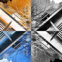 International Monetary Fund.  Washington DC